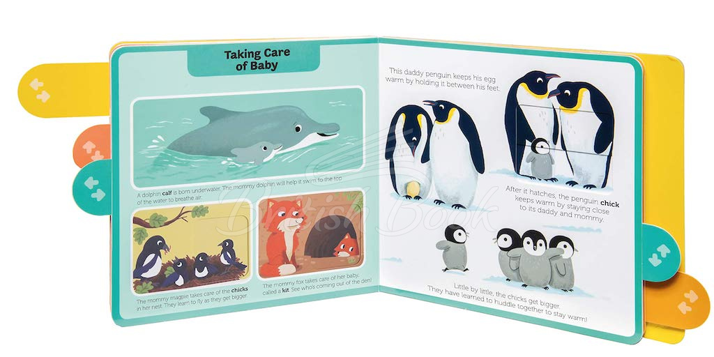 Книга PlayTabs: Baby Animals зображення 4