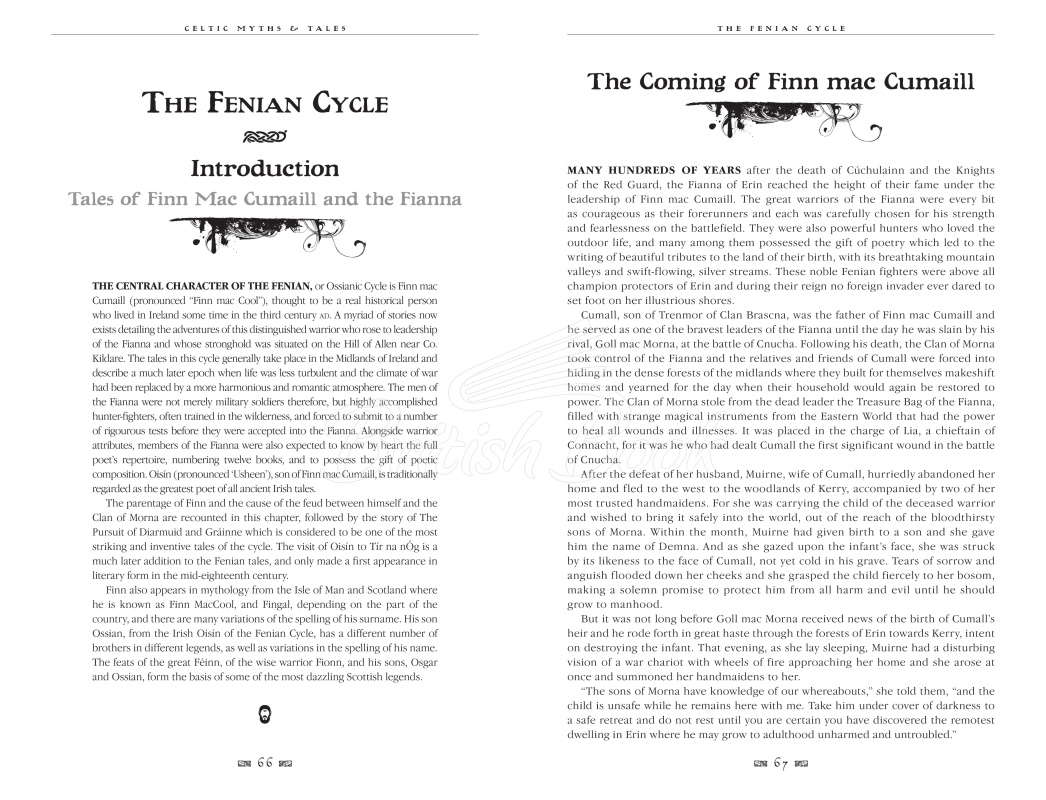 Книга Celtic Myths & Tales изображение 3