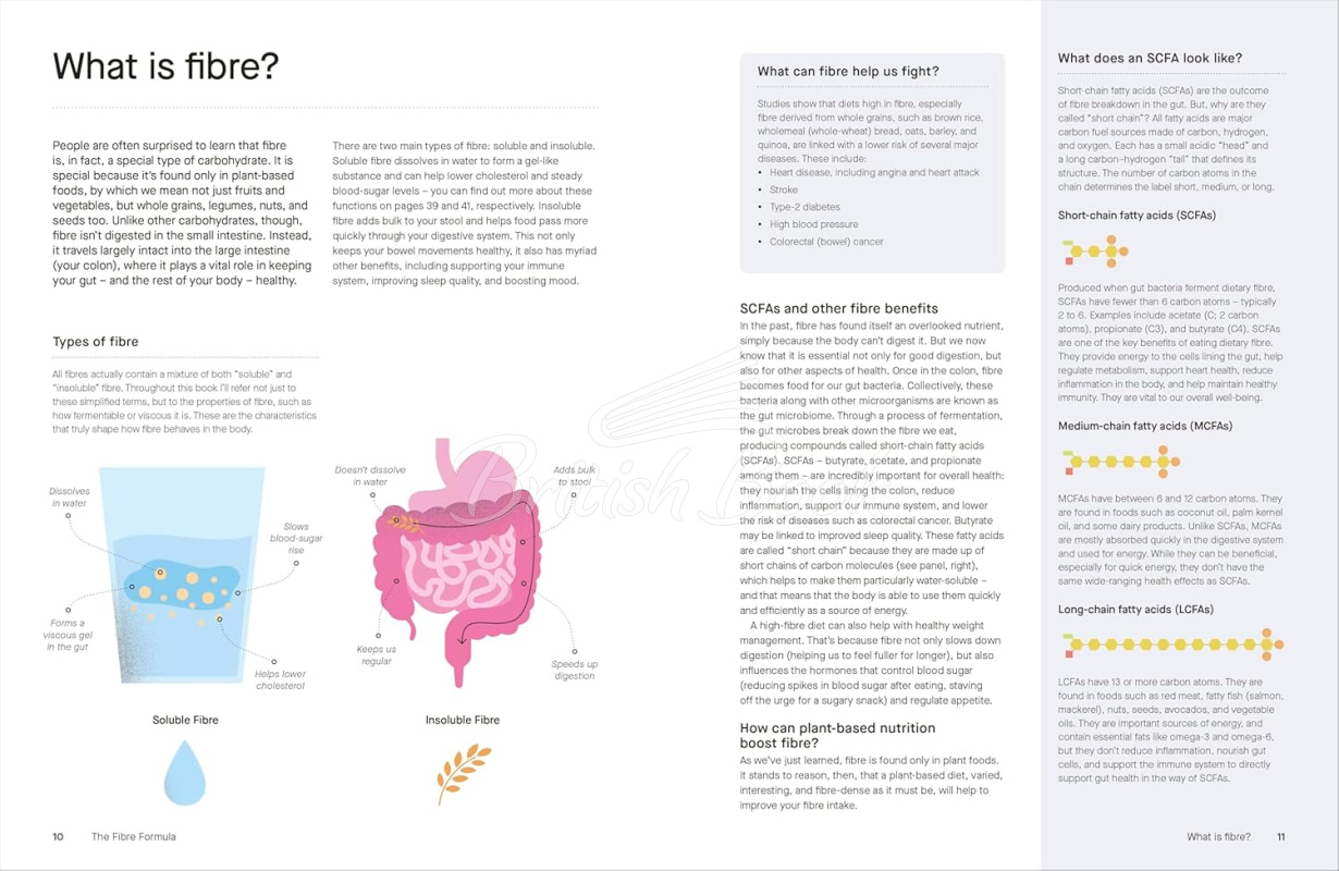 Книга The Fibre Formula: Feed Your Gut, Support Immunity & Live Well for Longer изображение 2
