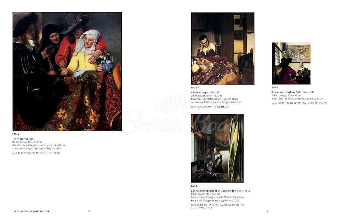 Книга Vermeer изображение 2