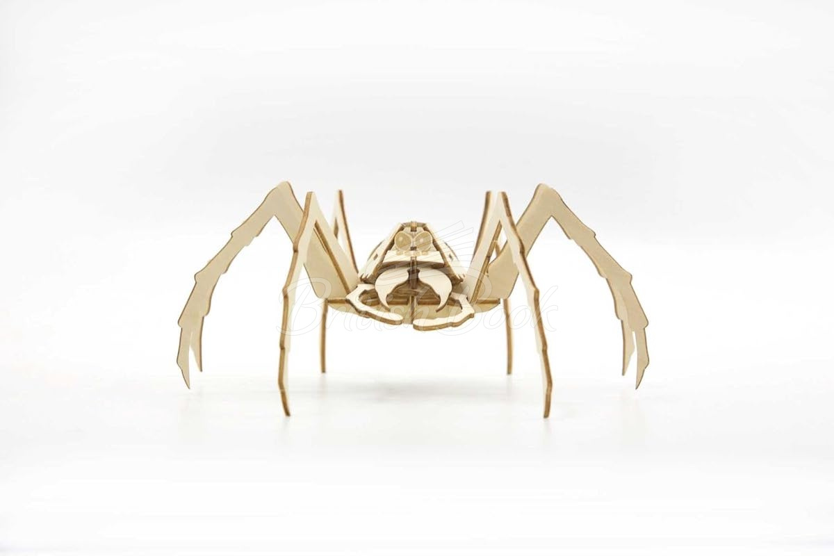 Збірна модель IncrediBuilds: Harry Potter: Aragog зображення 2