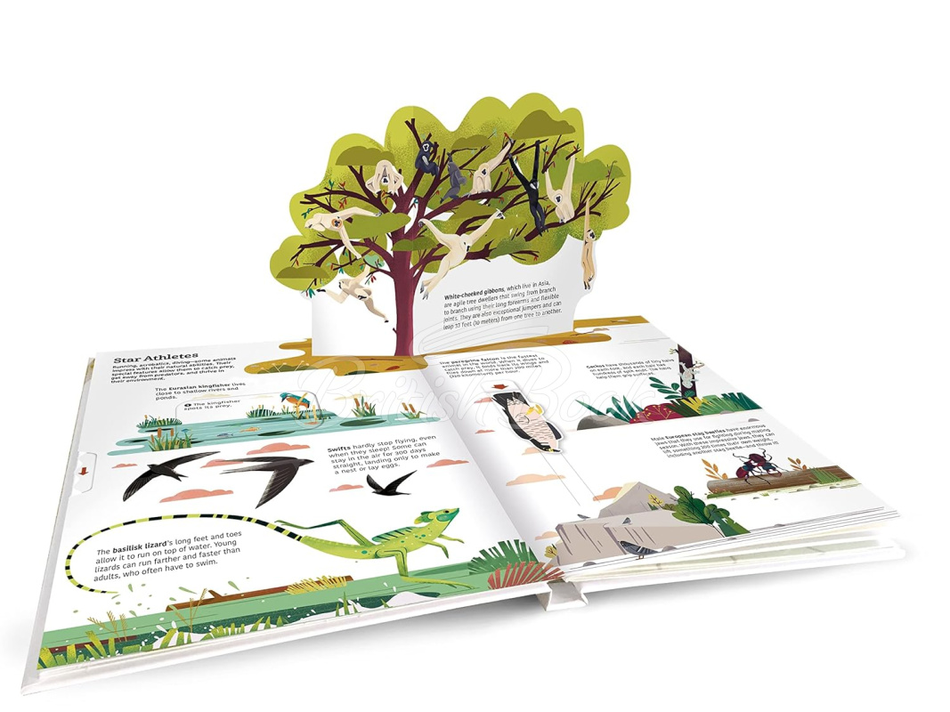 Книга Ultimate Spotlight: Extraordinary Animals зображення 1