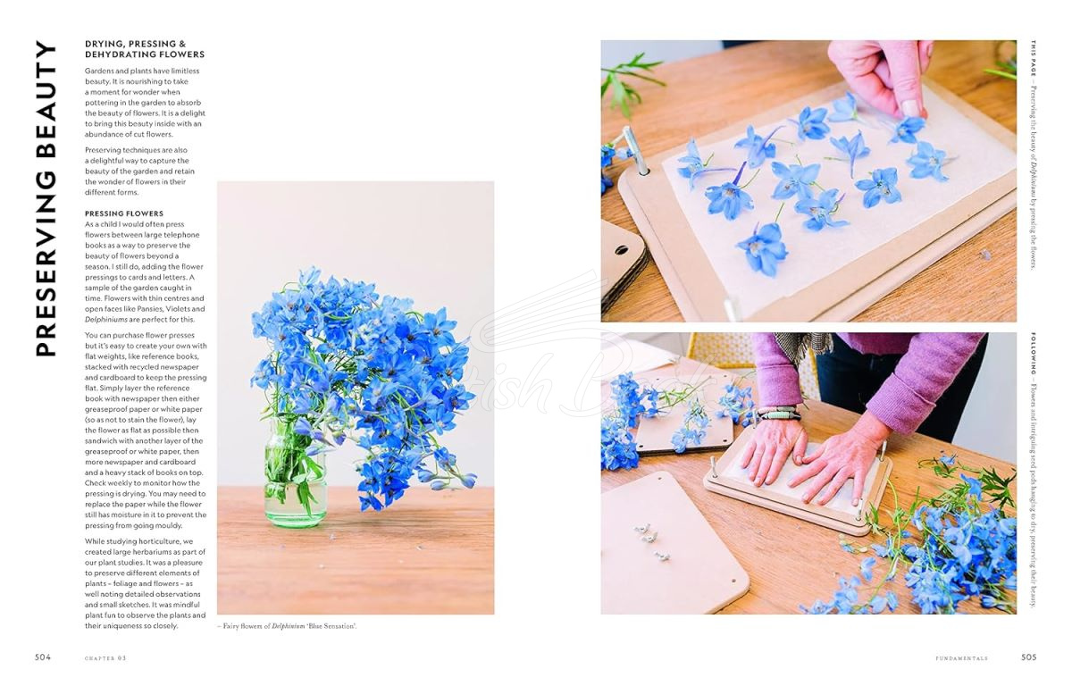 Книга Super Bloom: A Field Guide to Flowers for Every Gardener зображення 12
