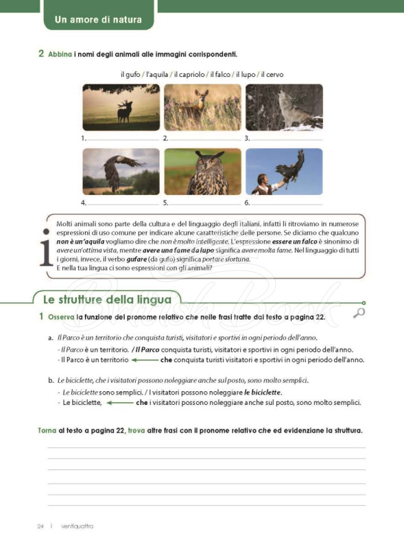 Підручник in alto! B1 con CD audio e Videogrammatica зображення 20
