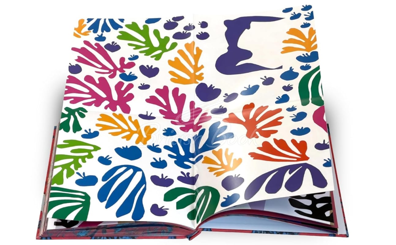 Книга Matisse зображення 1