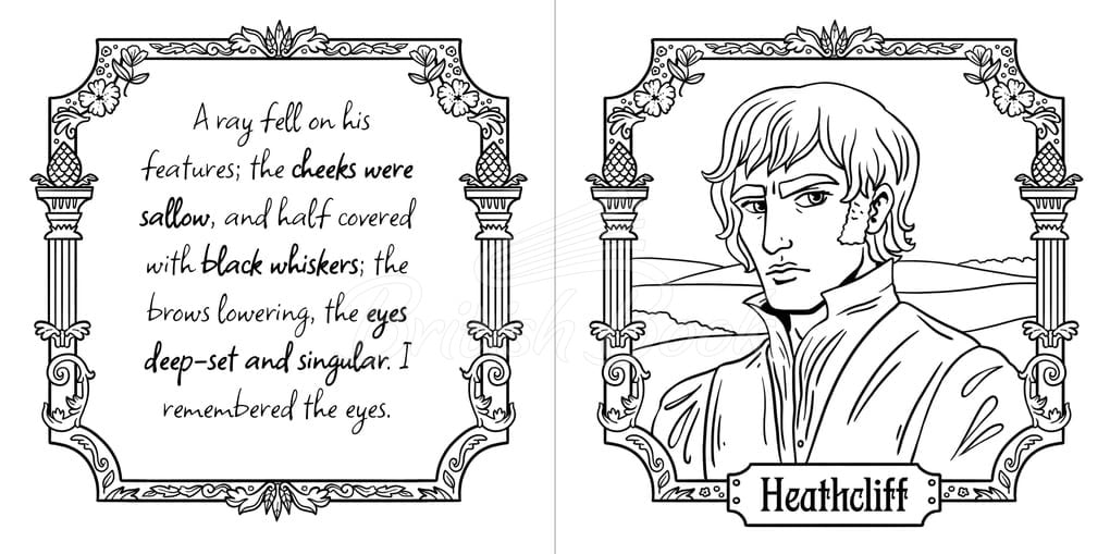 Книга Wuthering Heights Colouring Book изображение 1