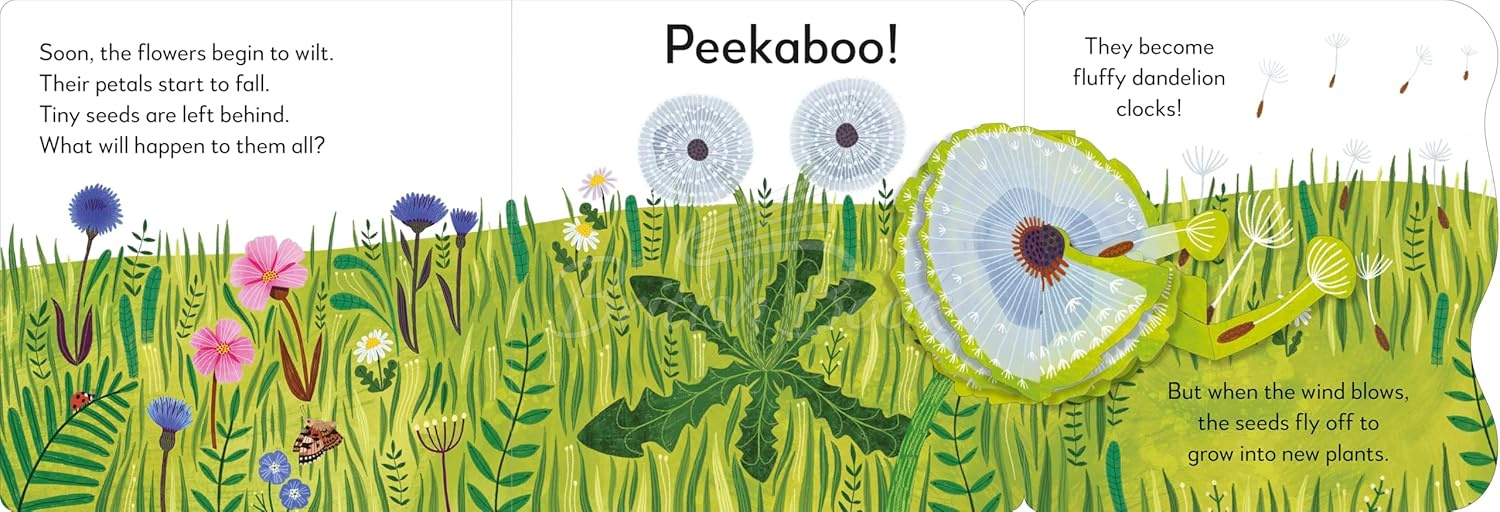 Книга Pop-Up Peekaboo! Flower зображення 5