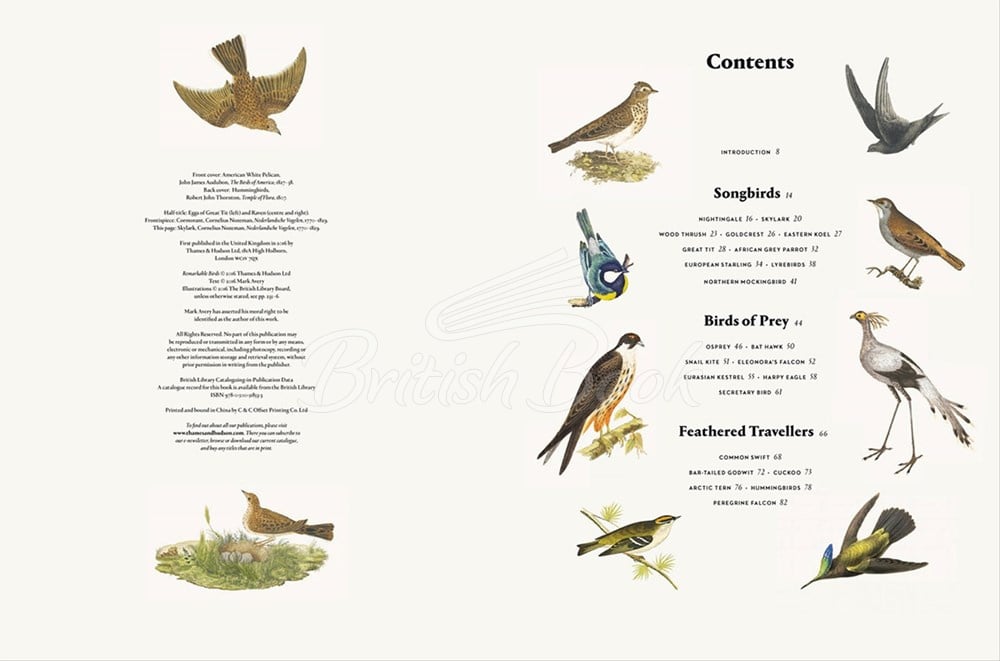 Книга Remarkable Birds зображення 1