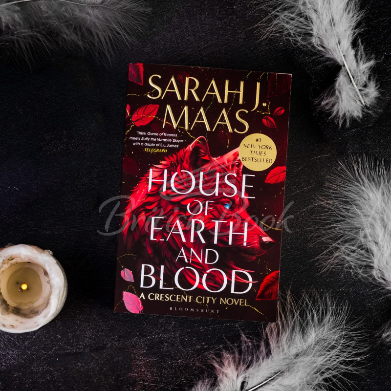 Книга House of Earth and Blood (Book 1) изображение 2
