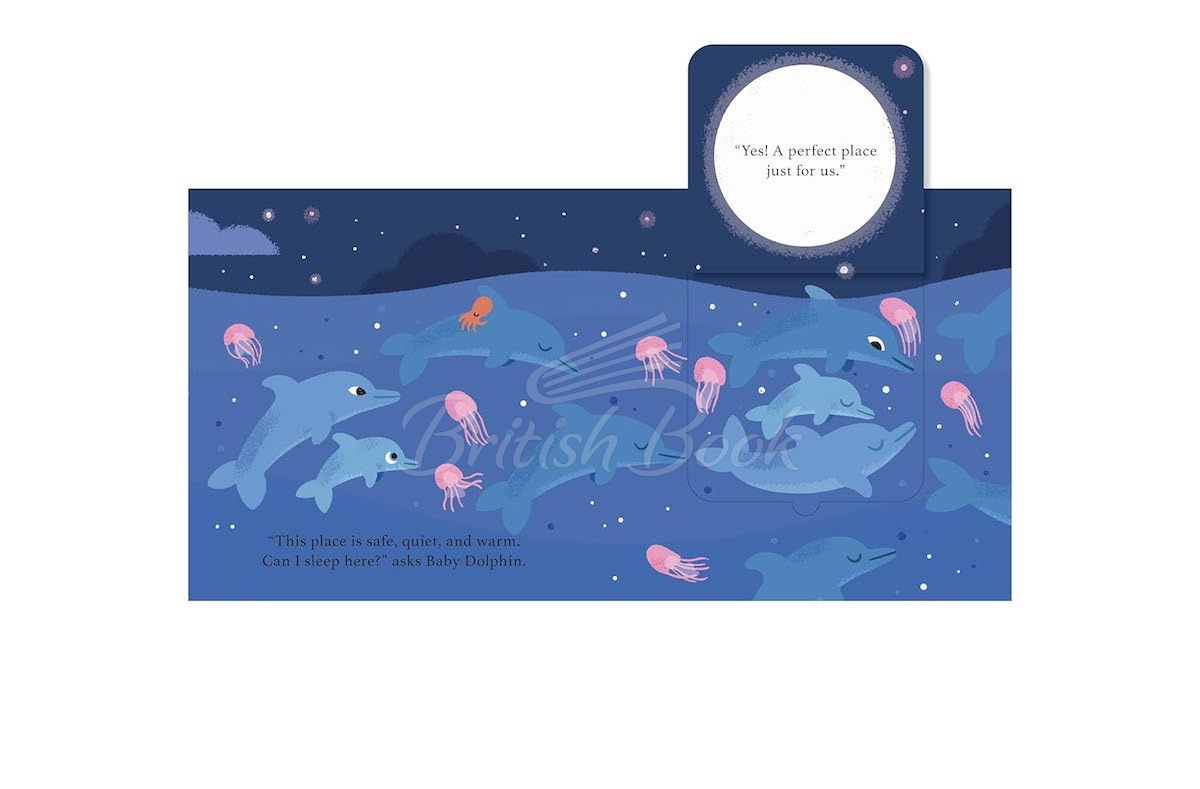 Книга Can I Sleep Here? Baby Dolphin зображення 4