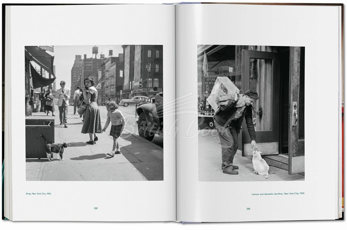 Книга Walter Chandoha. Cats. Photographs 1942–2018 зображення 14