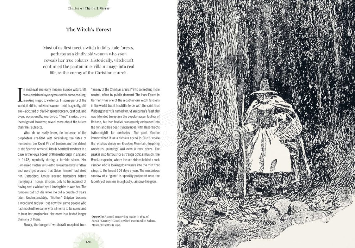 Книга Kew: Witch's Forest зображення 6