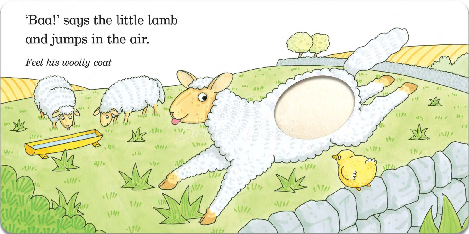 Книга Fluffy Chick зображення 2