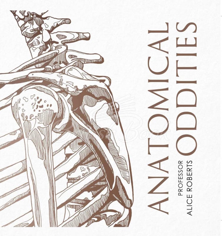 Книга Anatomical Oddities изображение