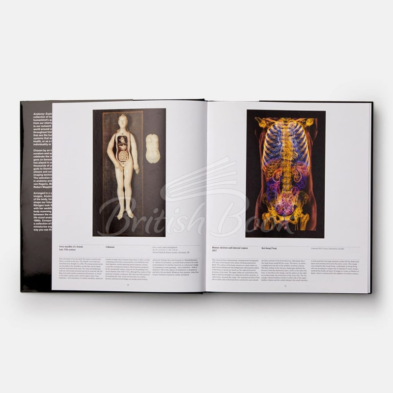 Книга Anatomy: Exploring the Human Body зображення 2