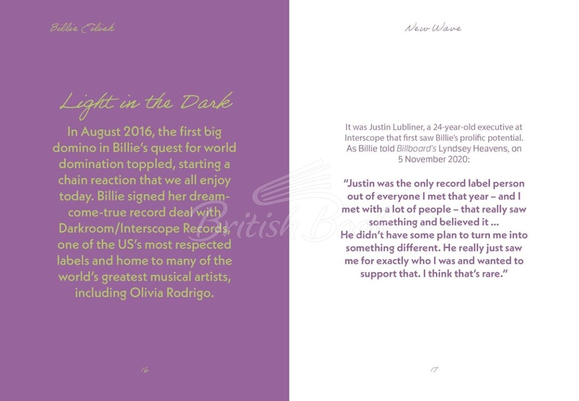 Книга The Pocket Billie Eilish зображення 6