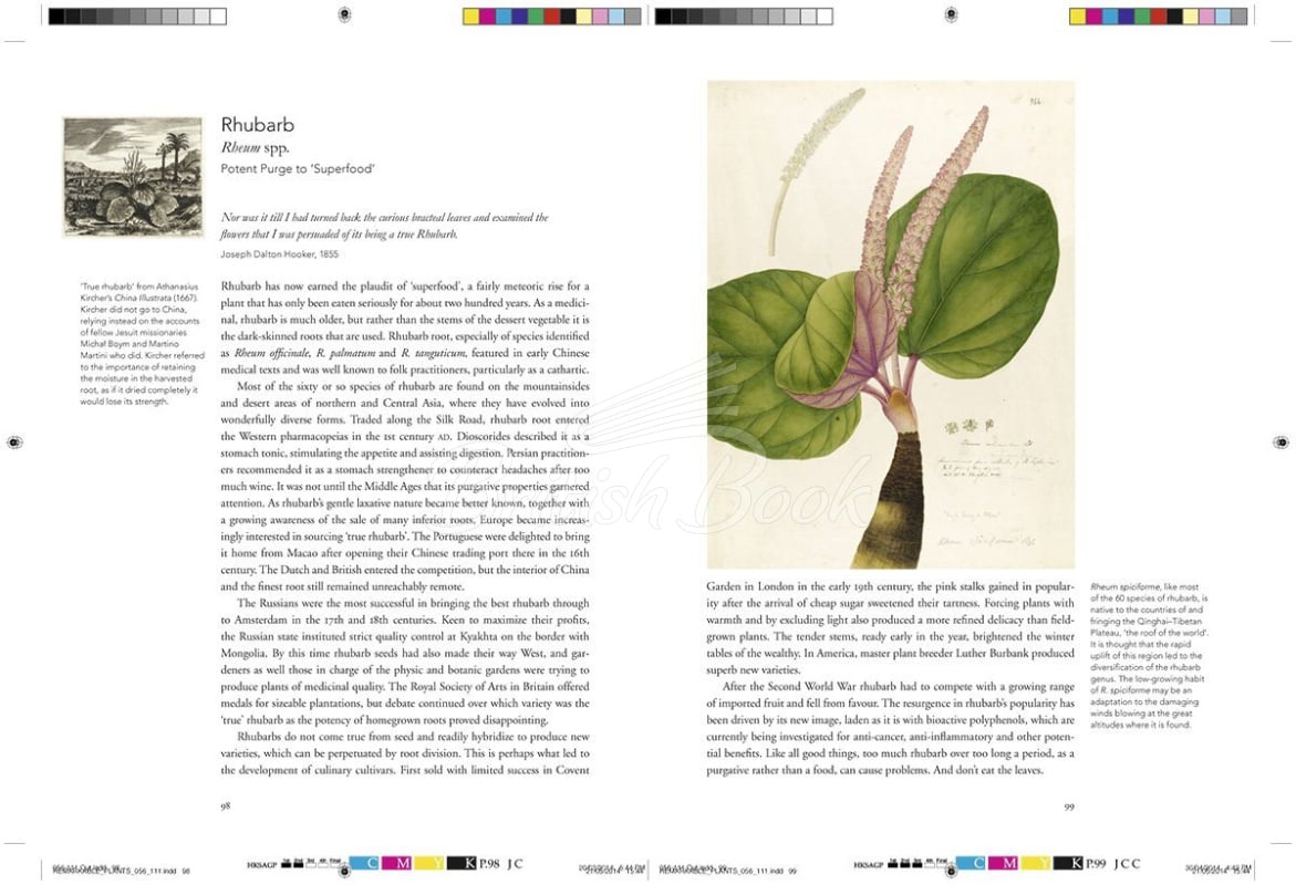 Книга Remarkable Plants изображение 8