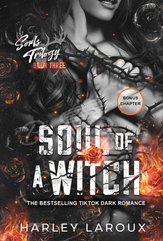 Книга Soul of a Witch (Book 3) зображення