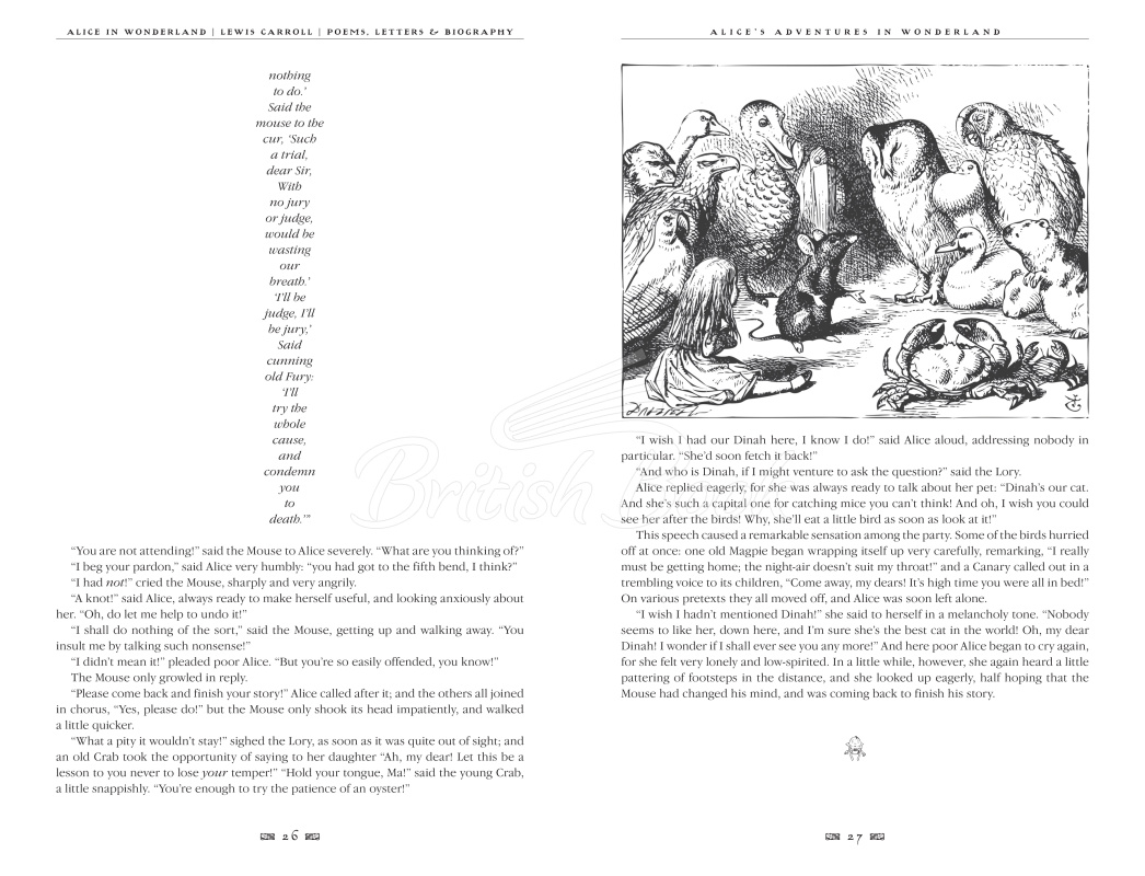 Книга Alice's Adventures in Wonderland зображення 3