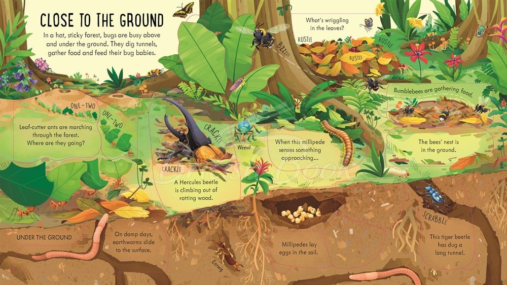 Книга Look inside Bug World зображення 4