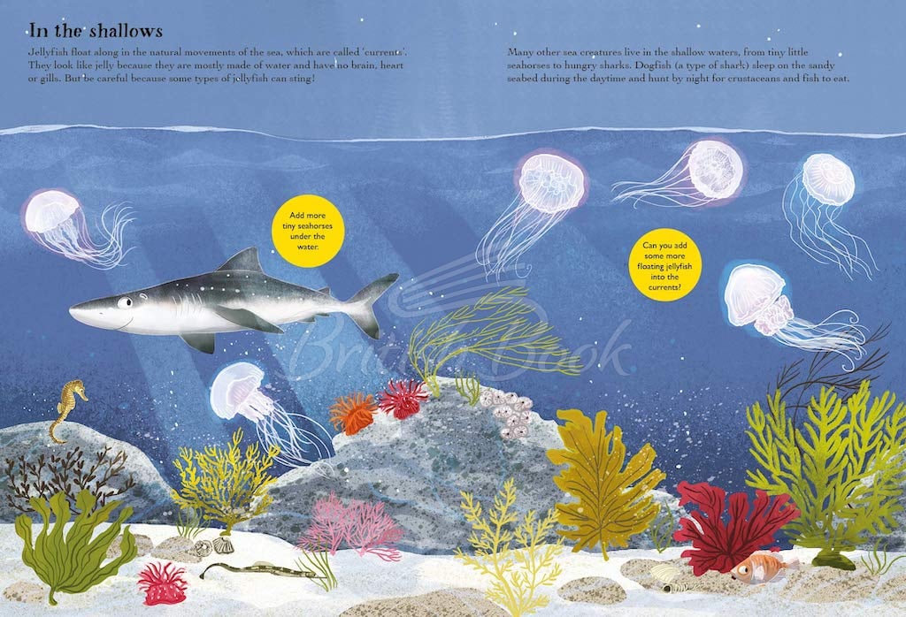 Книга National Trust: A Nature Sticker Book: Sharks, Seahorses and Other British Sea Creatures зображення 1