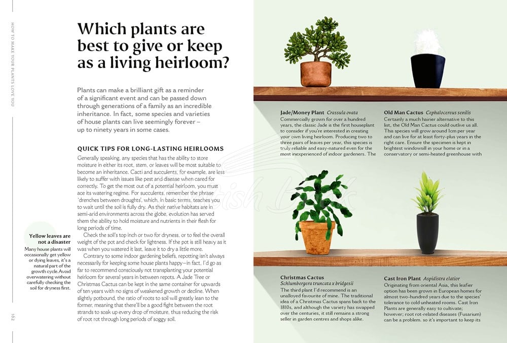 Книга How to Make Your Houseplants Love You: Expert Answers for Plant Parents зображення 6