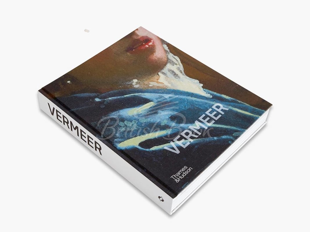 Книга Vermeer изображение 15