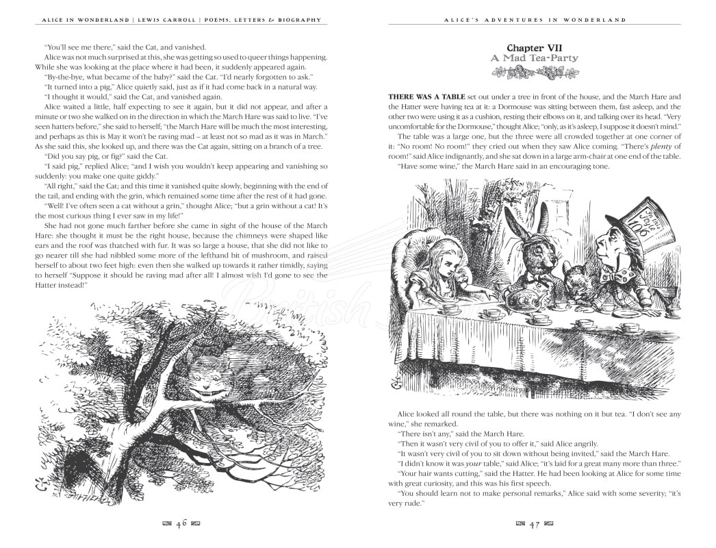 Книга Alice's Adventures in Wonderland зображення 5