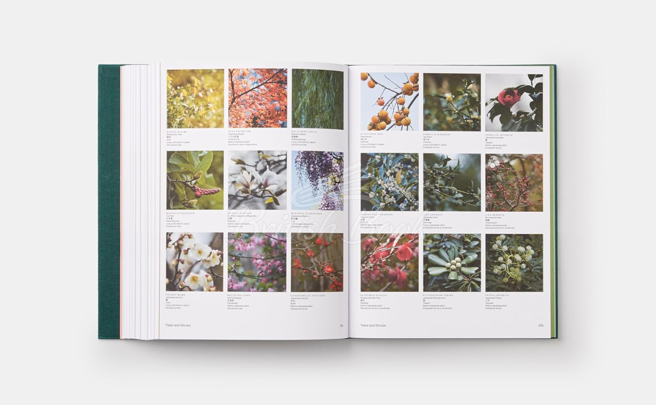 Книга The Japanese Garden зображення 10