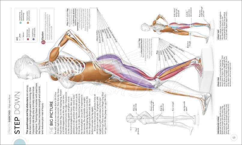 Книга Science of Running изображение 4