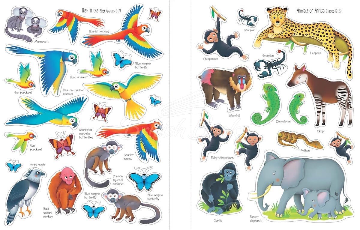 Книга First Sticker Book: Jungle изображение 5