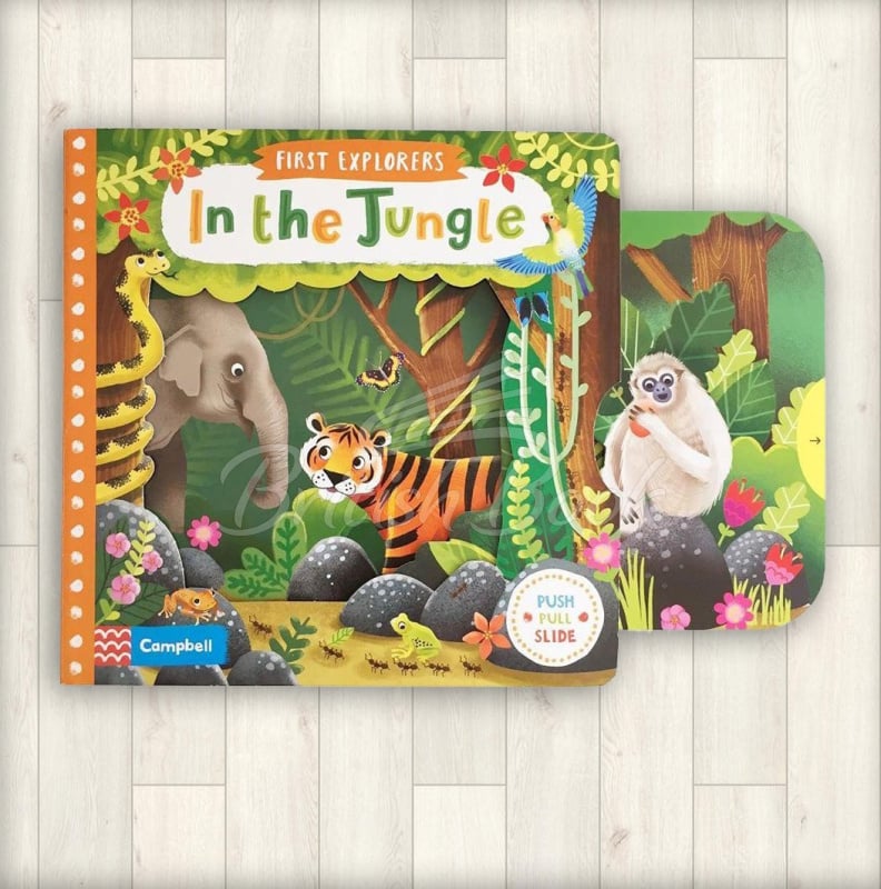 Книга First Explorers: In the Jungle зображення 1