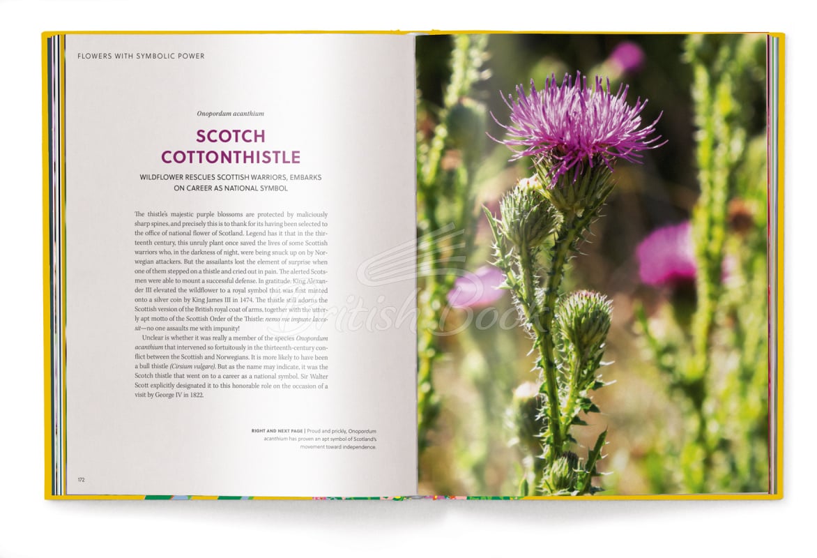Книга Floramour: Wild Flowers изображение 4