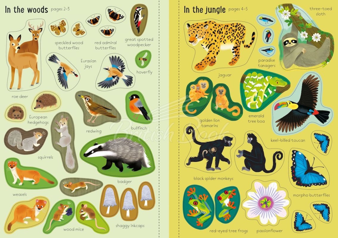 Книга Little First Stickers: Nature изображение 2