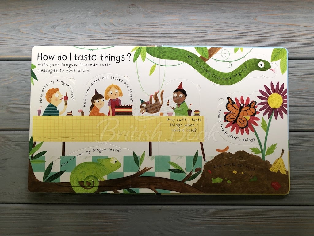 Книга Lift-the-Flap First Questions and Answers: How Do I See? изображение 6