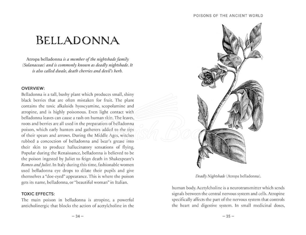 Книга Poison: The History of Potions, Powders and Murderous Practitioners зображення 1