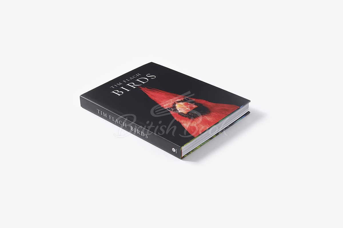 Книга Birds: Photographs изображение 1