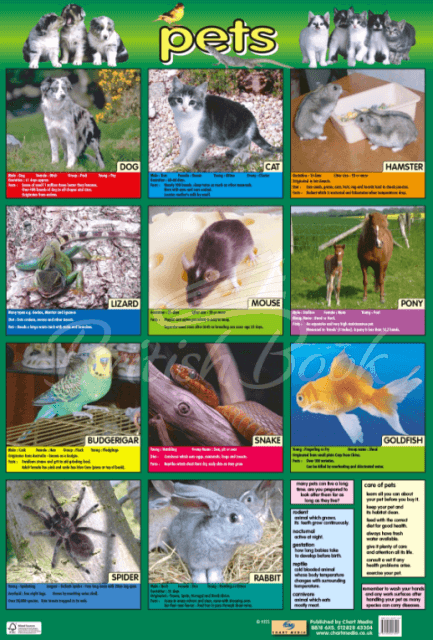 Плакат Pets Poster зображення
