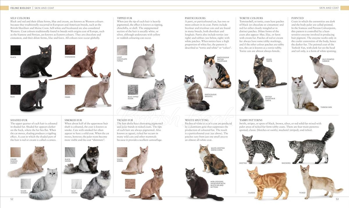 Книга The Cat Encyclopedia изображение 2