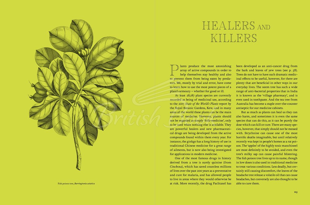 Книга Remarkable Trees изображение 8