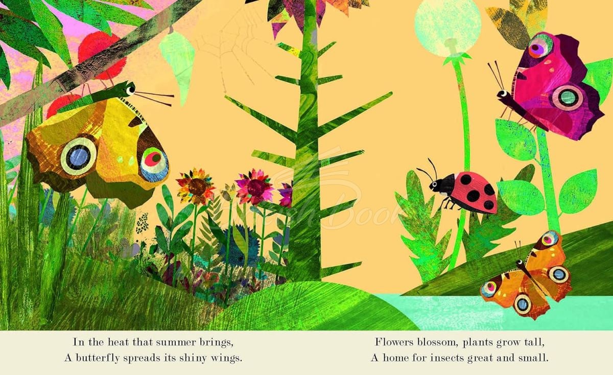 Книга A Peek-Through Introduction to Nature: Bugs изображение 5