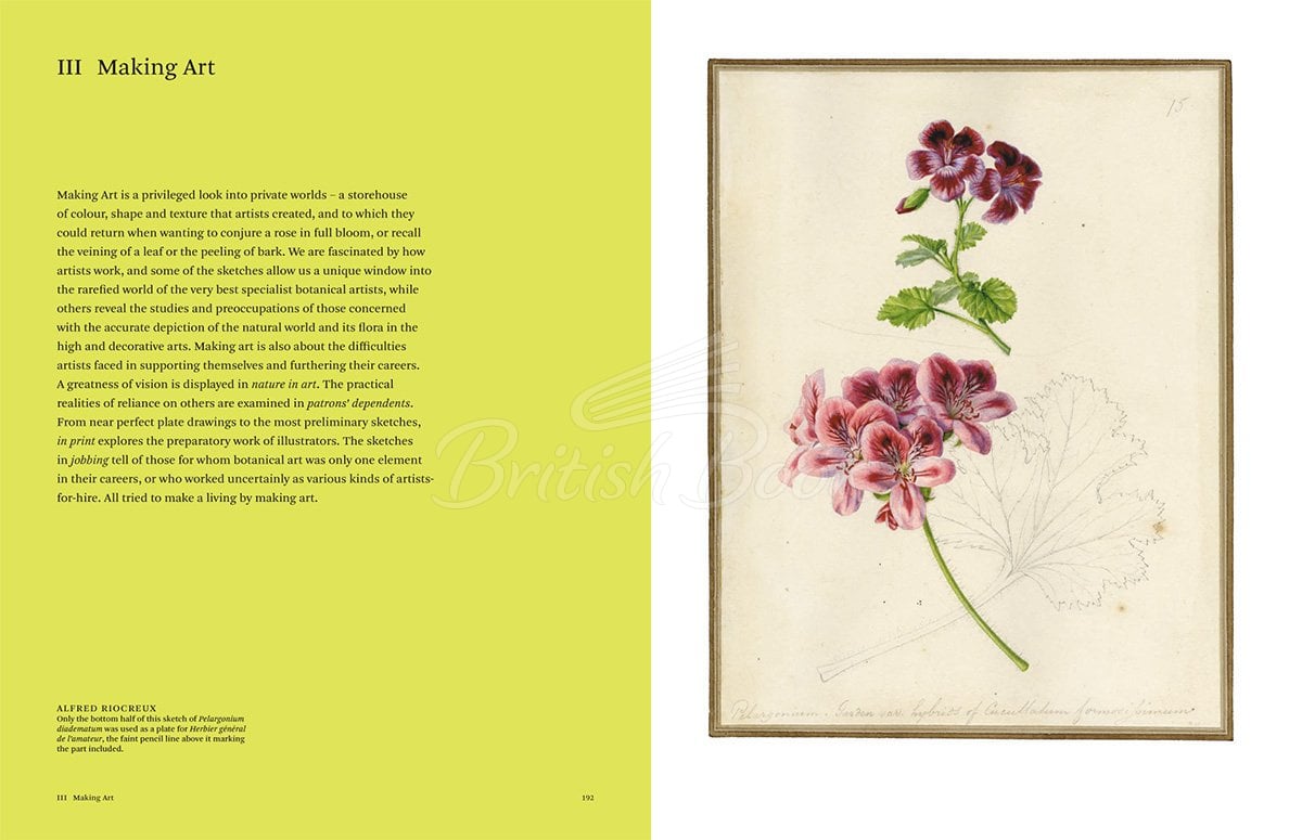 Книга Botanical Sketchbooks изображение 9