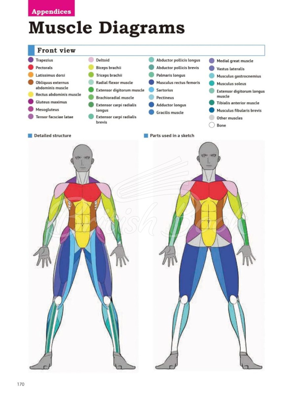 Книга How to Create Manga: Drawing the Human Body зображення 10