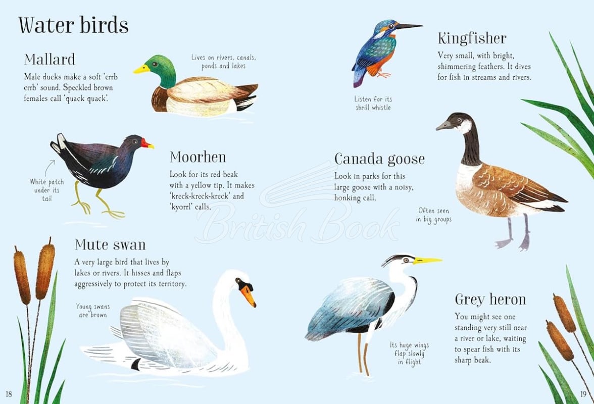 Книга Nature Spotting Guide зображення 1