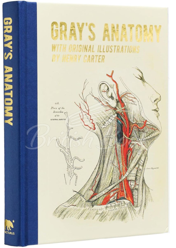 Книга Gray's Anatomy зображення