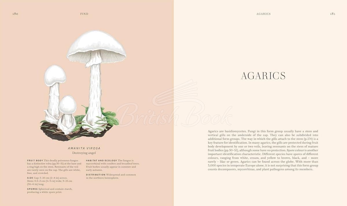 Книга Fungi изображение 5