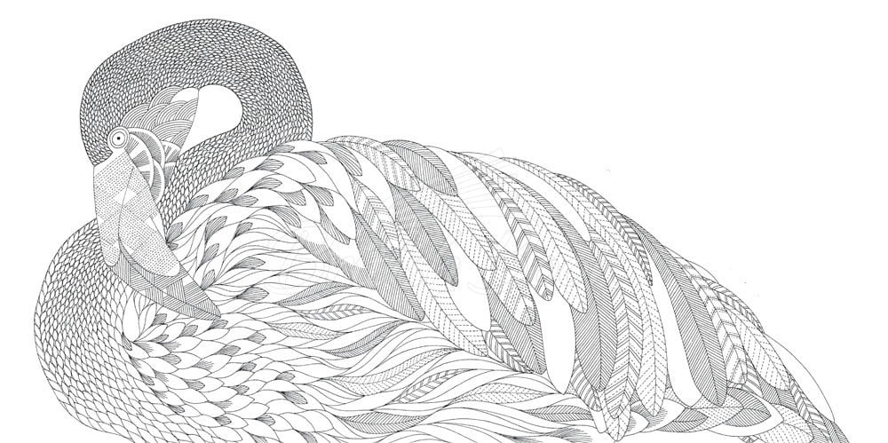 Книга Millie Marotta's Animal Kingdom: A Colouring Book Adventure изображение 9