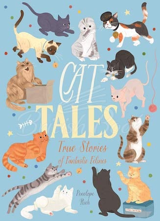 Книга Cat Tales: True Stories of Fantastic Felines зображення