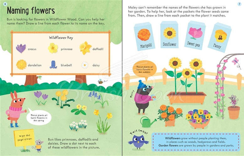 Книга Wipe-Clean How Plants Grow (Age 5 to 6) изображение 3