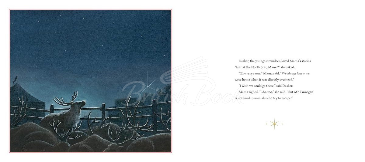 Книга Dasher изображение 3